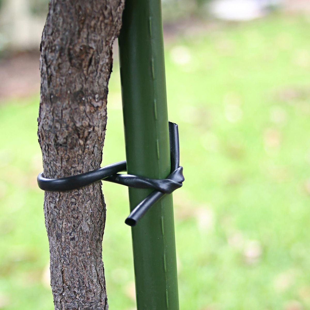 Jack Soft Lace Plant Tie 3mm x 50m Black Plastic