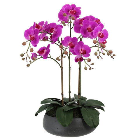 CG Hunter Faux Phalaenopsis Orchid Arrangement Pink 61cm - SuperSaverAU - view 1