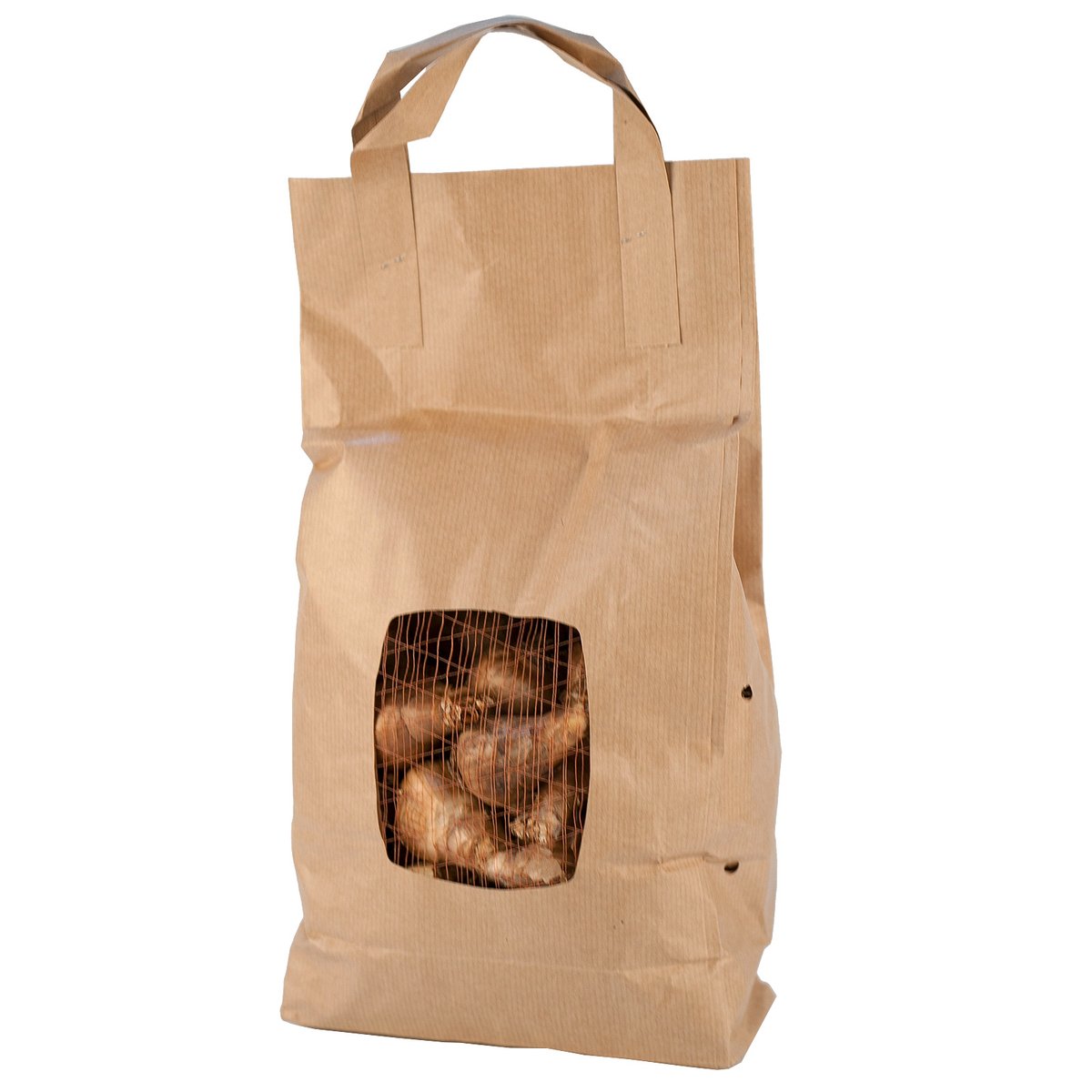 Bloomin Bulbs Daffodil Bulb - 50 Pack - Paper Bag - Easy to Grow - SuperSaverAU - view 2