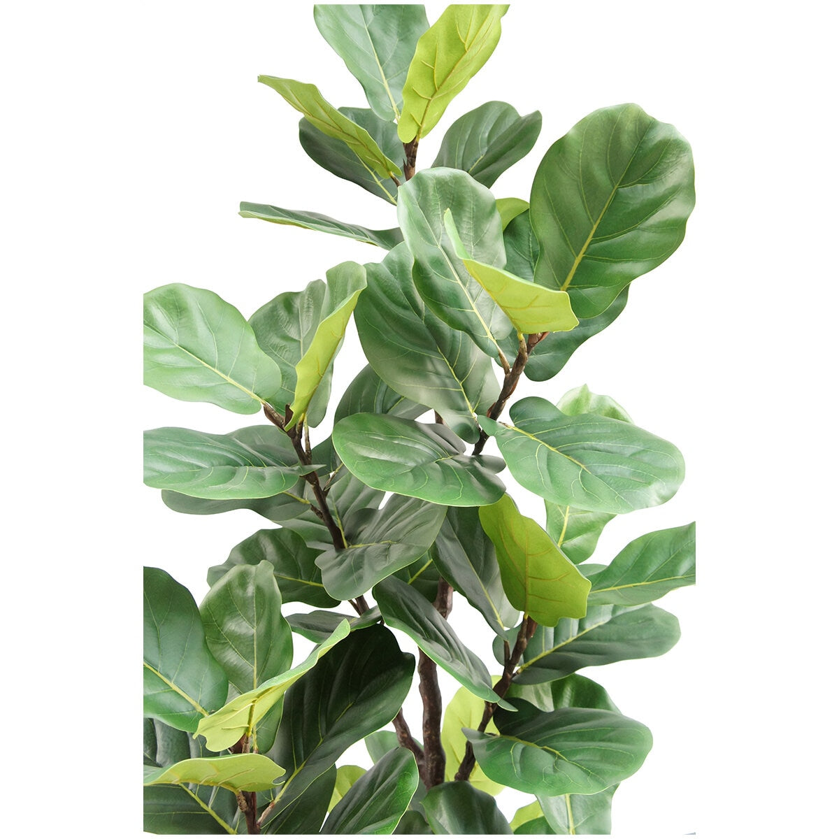 CG Hunter Faux Slim Fig Tree 2M - SuperSaverAU - view 3