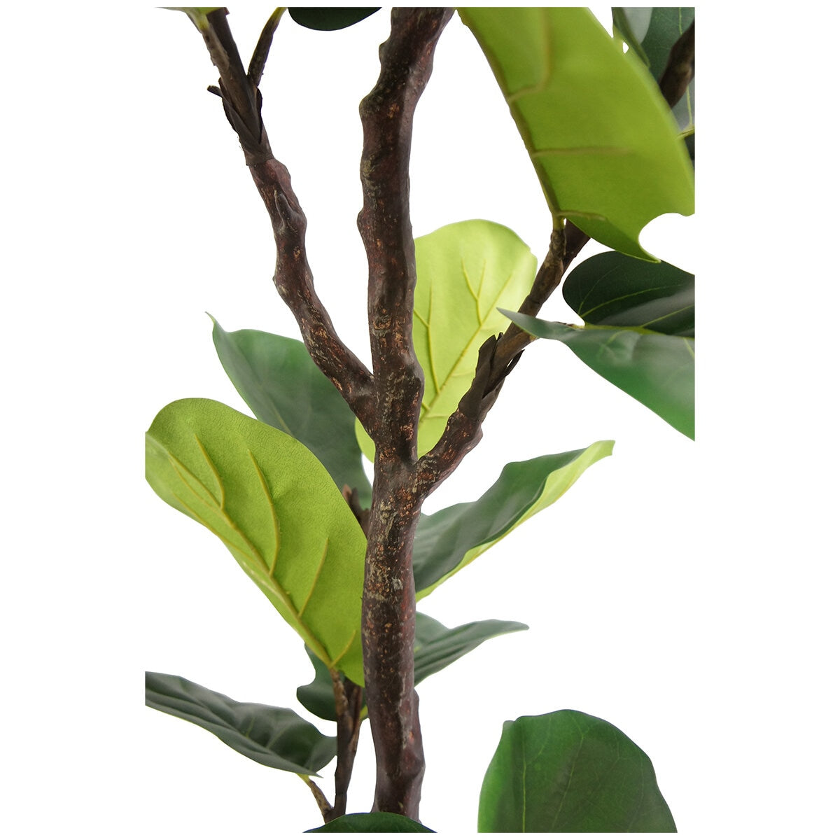 CG Hunter Faux Slim Fig Tree 2M - SuperSaverAU - view 2
