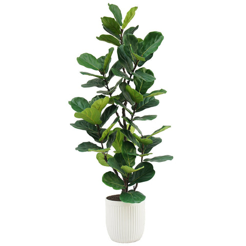 CG Hunter Faux Slim Fig Tree 2M - SuperSaverAU - view 1