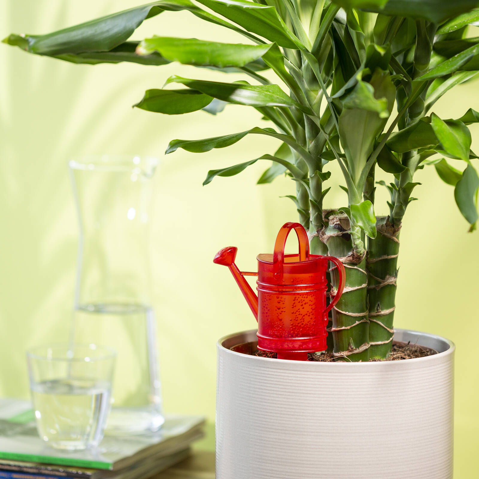 Scheurich Nellys 12.5 x 6.5cm Red Plastic Self-Watering Plant Accessory