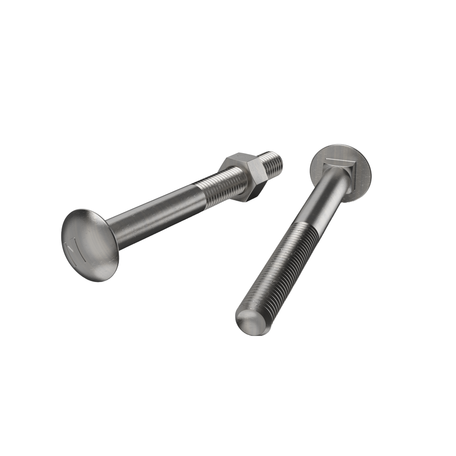 Zenith M12 x 120mm Stainless Steel 304 Cup Head Bolt and Nut