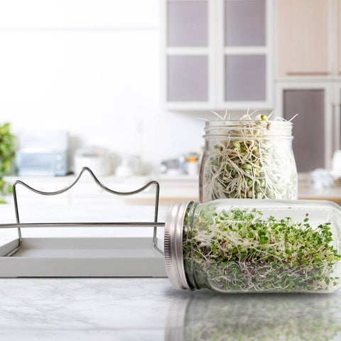 Mr Fothergill S Twin Sprouter Jar Grow Kit - 210mm x 200mm x 125mm - Compact Design - Includes Alfalfa & Mung Bean Seeds - SuperSaverAU - view 5
