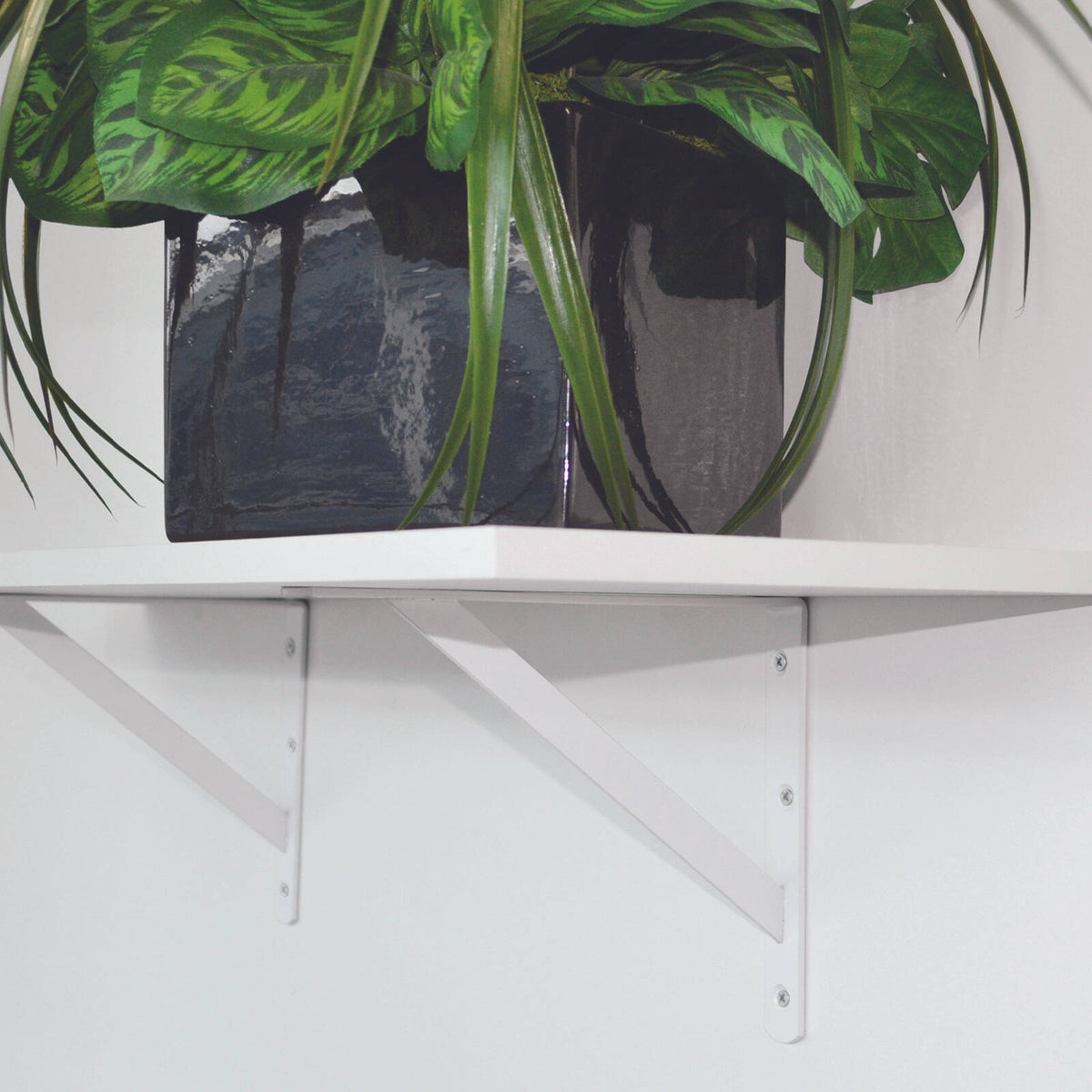 Carinya 200 x 150mm White Light Stayed Bracket, Powder Coated Steel, Multi-Orientation Wall Mount