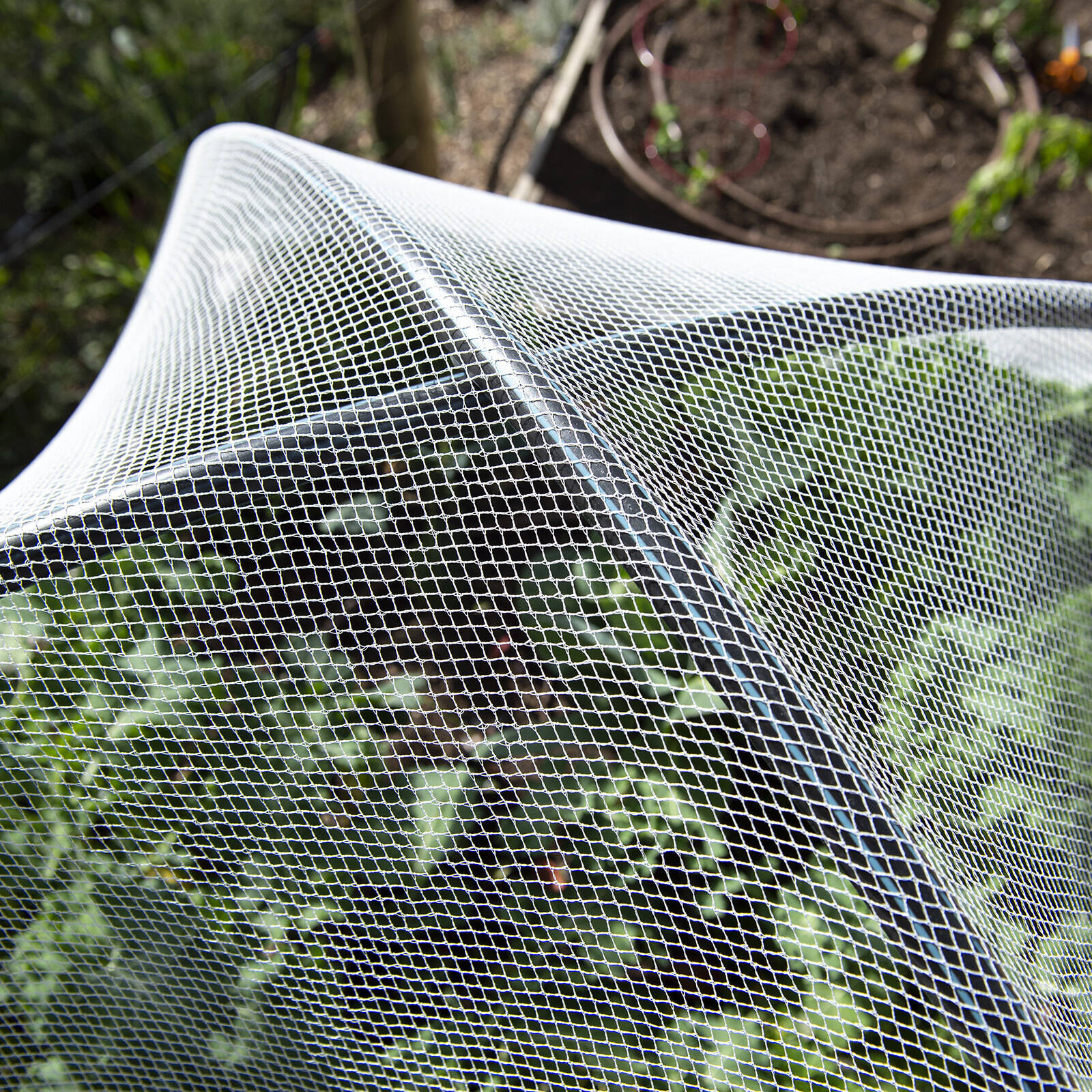 Backyard Farmer 2.5 x 2.5m x 5mm White Anti Bird Net