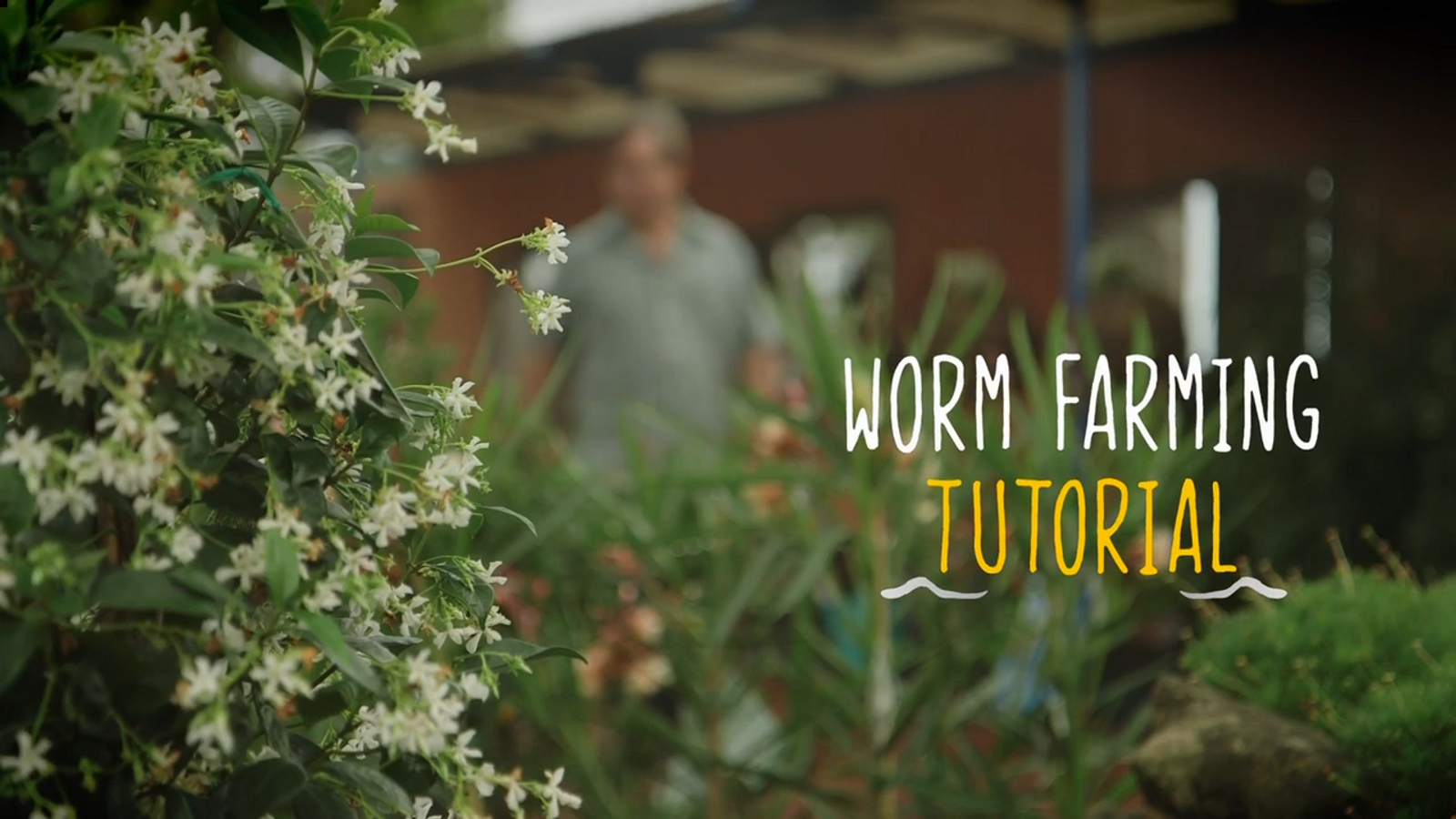 Tumbleweed Worm Farm Bedding Block 100% Coconut Fibre Odourless Coir