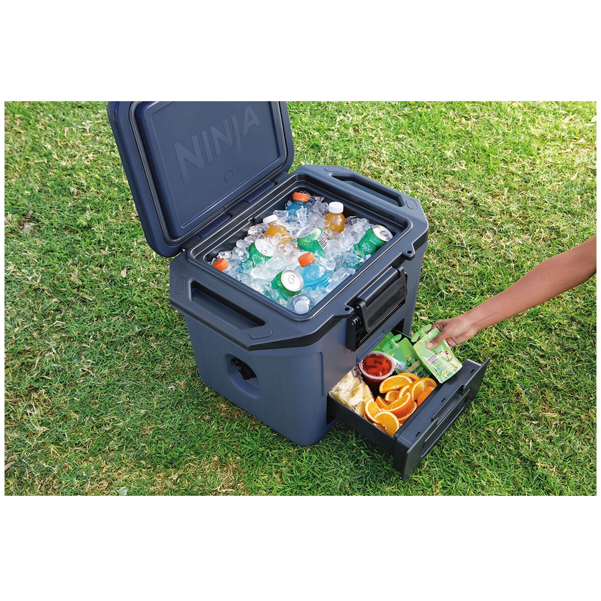 Ninja 28L FrostVault Hard Cooler with Dry Zone - Lakeshore Blue, Lockable Lid, Fits 48 Cans - FB131BL