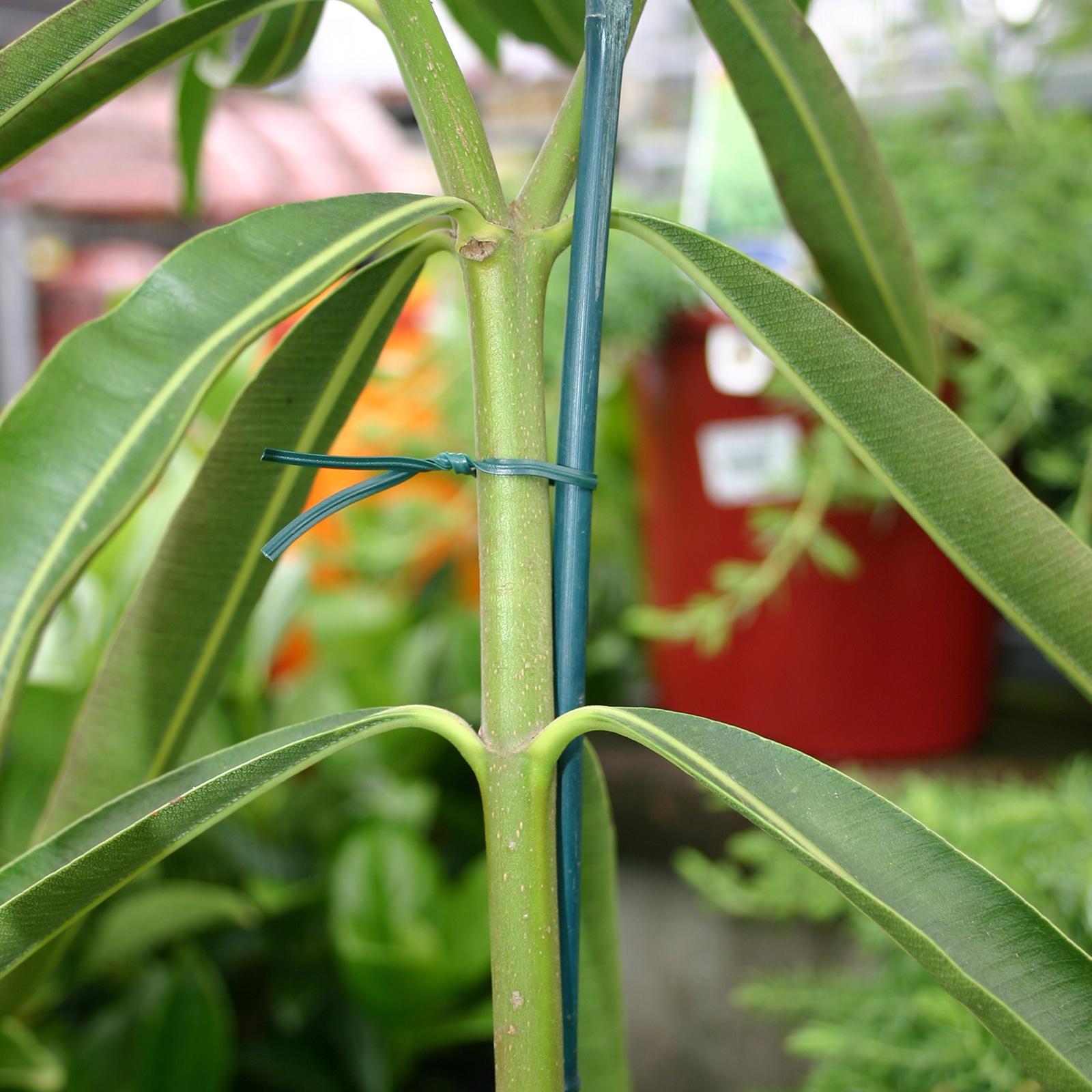 Jack Handy Twist Plant Ties 200mm Green - 200 Pack