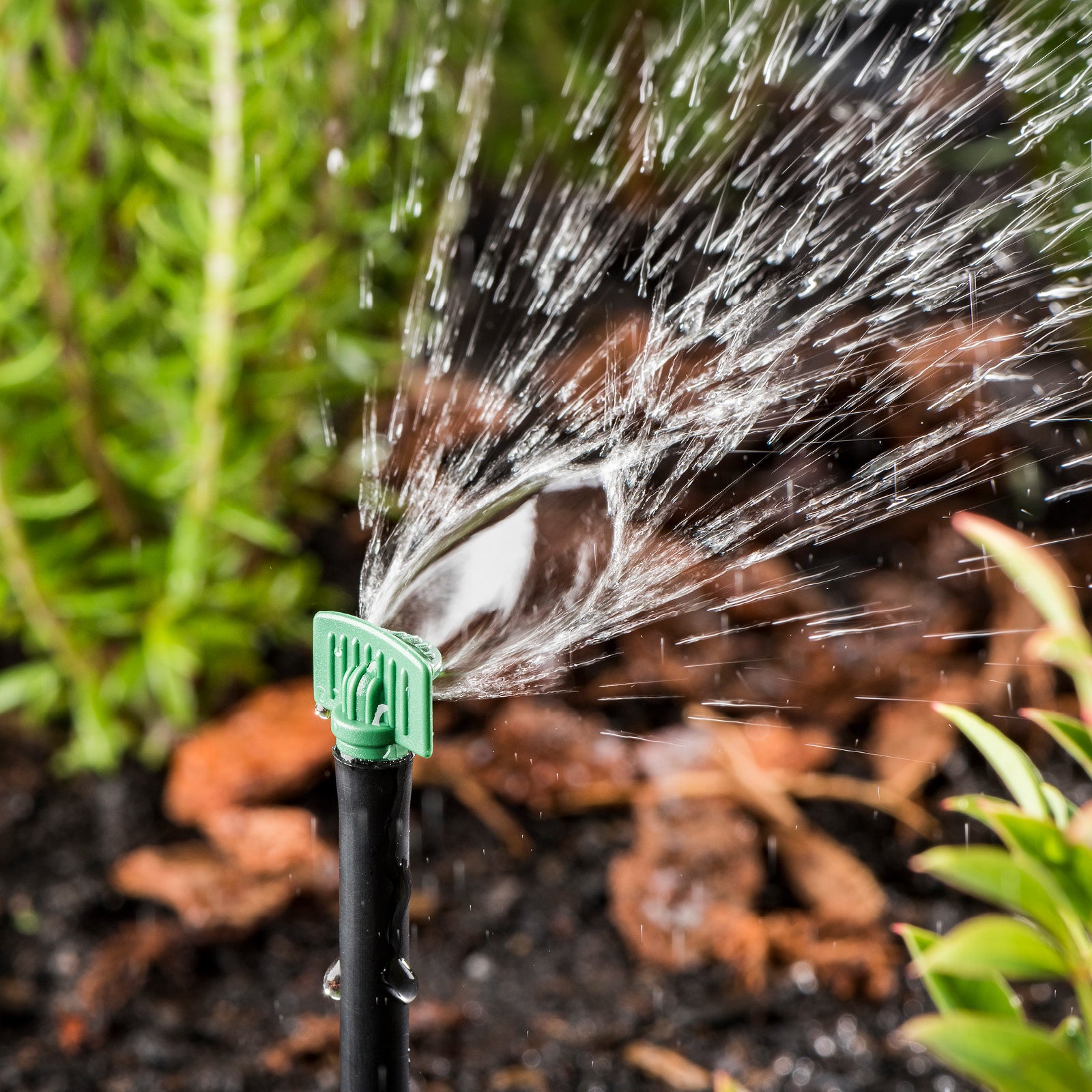 Pope Quarter Circle Poly Micro Jet Spray 25 Pack - Green Polypropylene, 60 L/h, 4mm Above Ground
