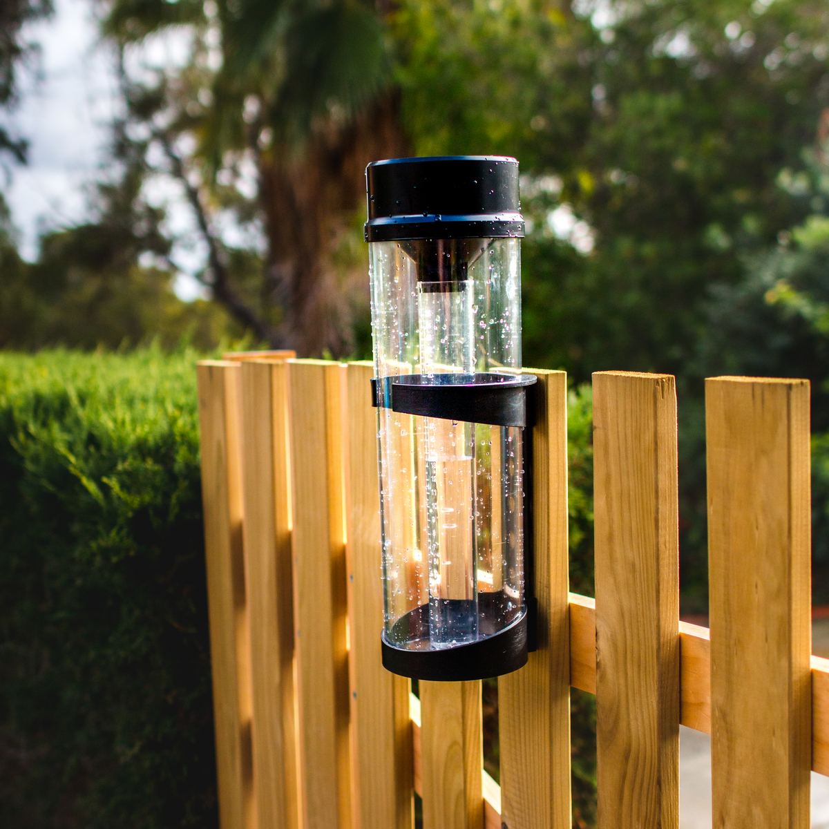 Holman Professional 250ml Rain Gauge Cylinder UV Stabilised