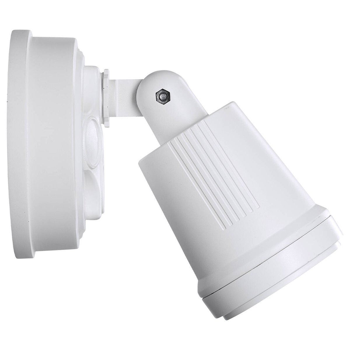 Brilliant White Raptor III 10W LED Flood Light Adjustable Outdoor 22597/05
