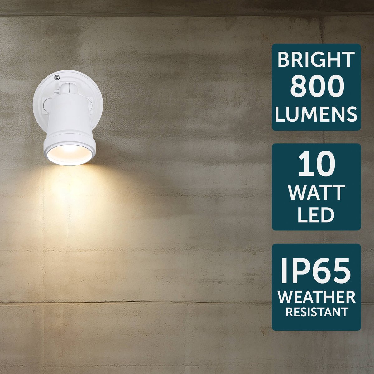 Brilliant White Raptor III 10W LED Flood Light Adjustable Outdoor 22597/05