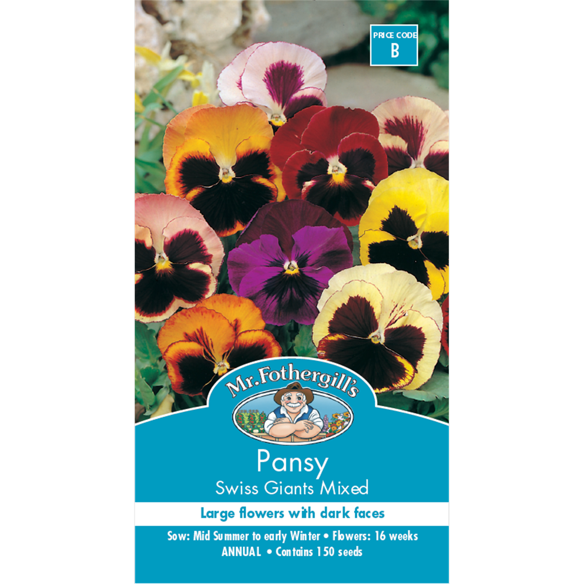 Mr Fothergill Pansy Swiss Giants Mixed Seeds 75mm Hardy Perennial - SuperSaverAU - view 1