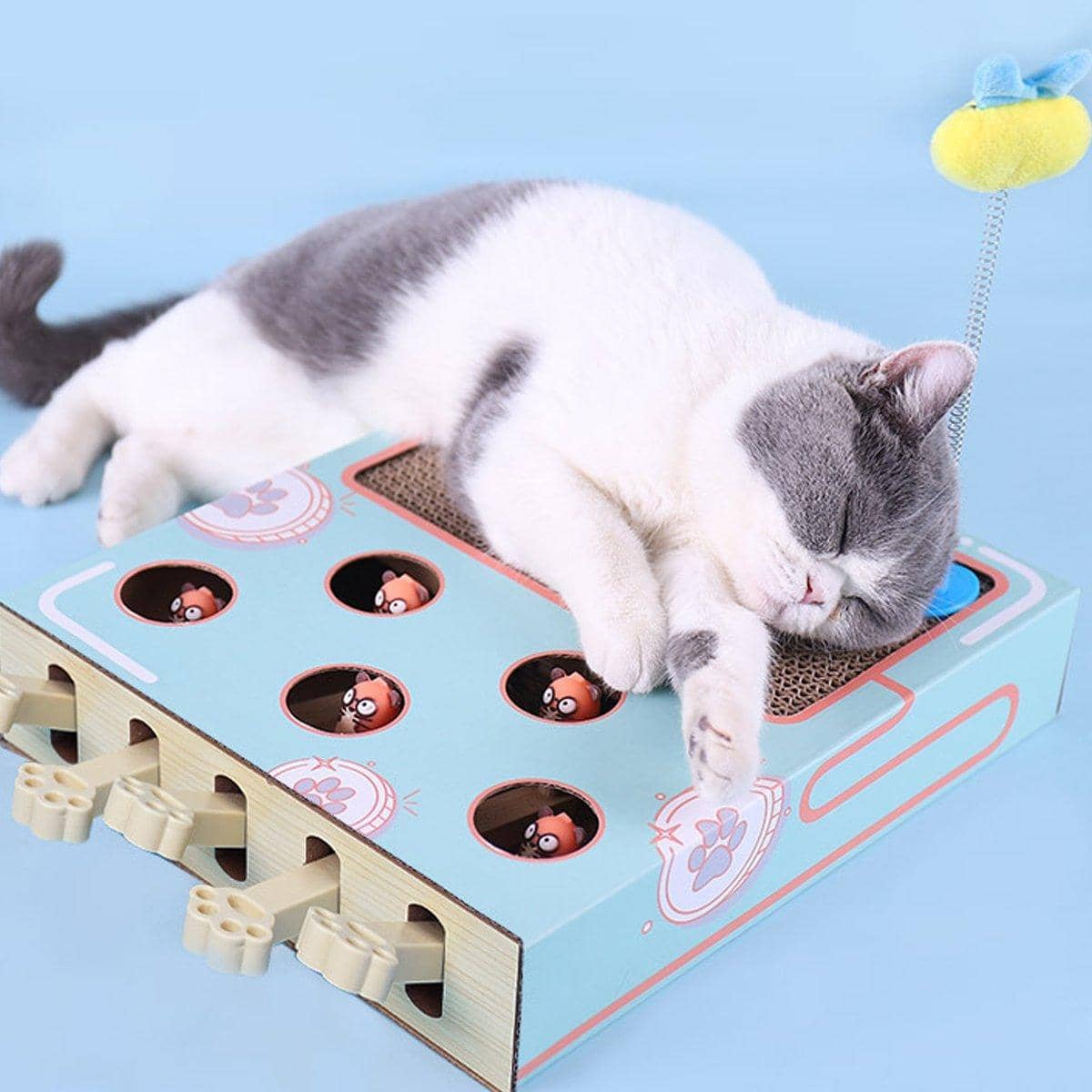 3-In-1 Cat Scratch Board and Play Box with Paw Levers - Blue - view 5