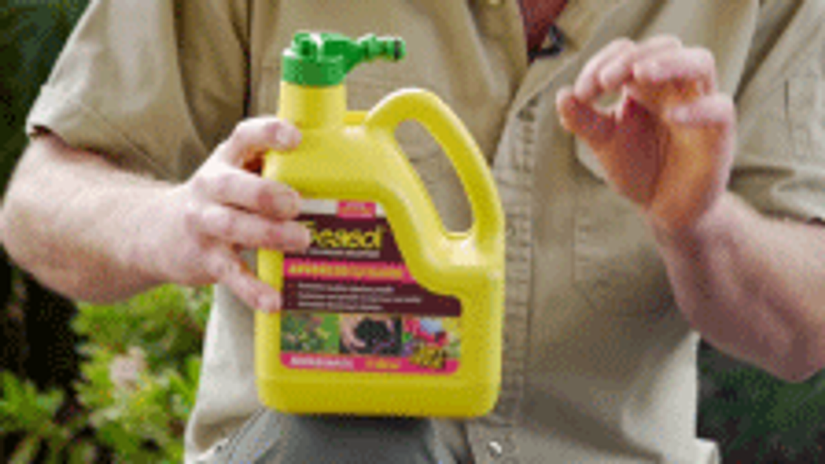 Seasol 750ml Foliar Spray, Ready To Use Seaweed Leaf Feed, Safe for Vegetables