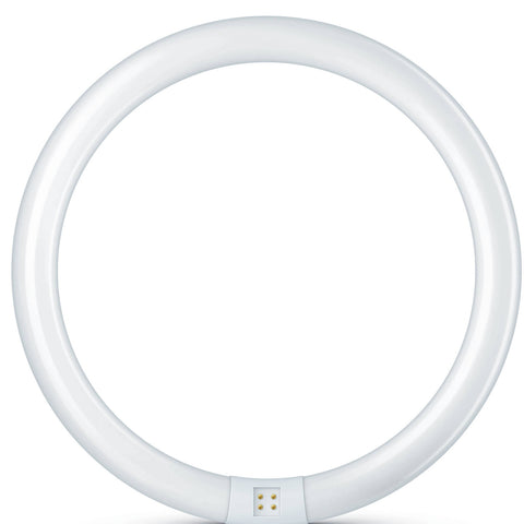 Philips G10 32W Circular Fluorescent Tube Cool White 4000K 2375lm