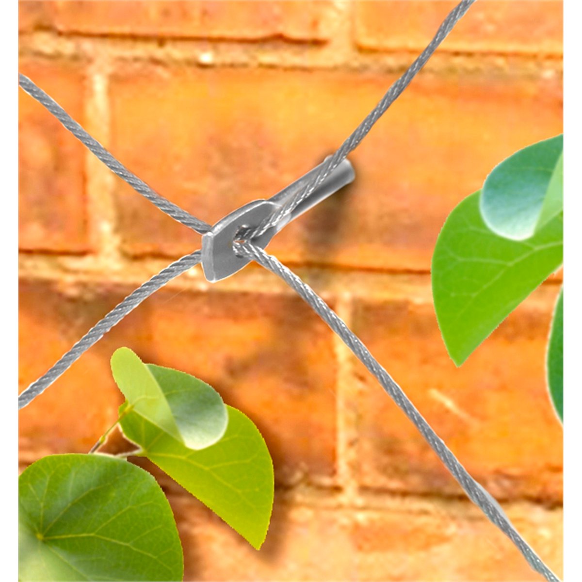 Jack Grip And Grow Trellis Kit Plant Trainer 5m