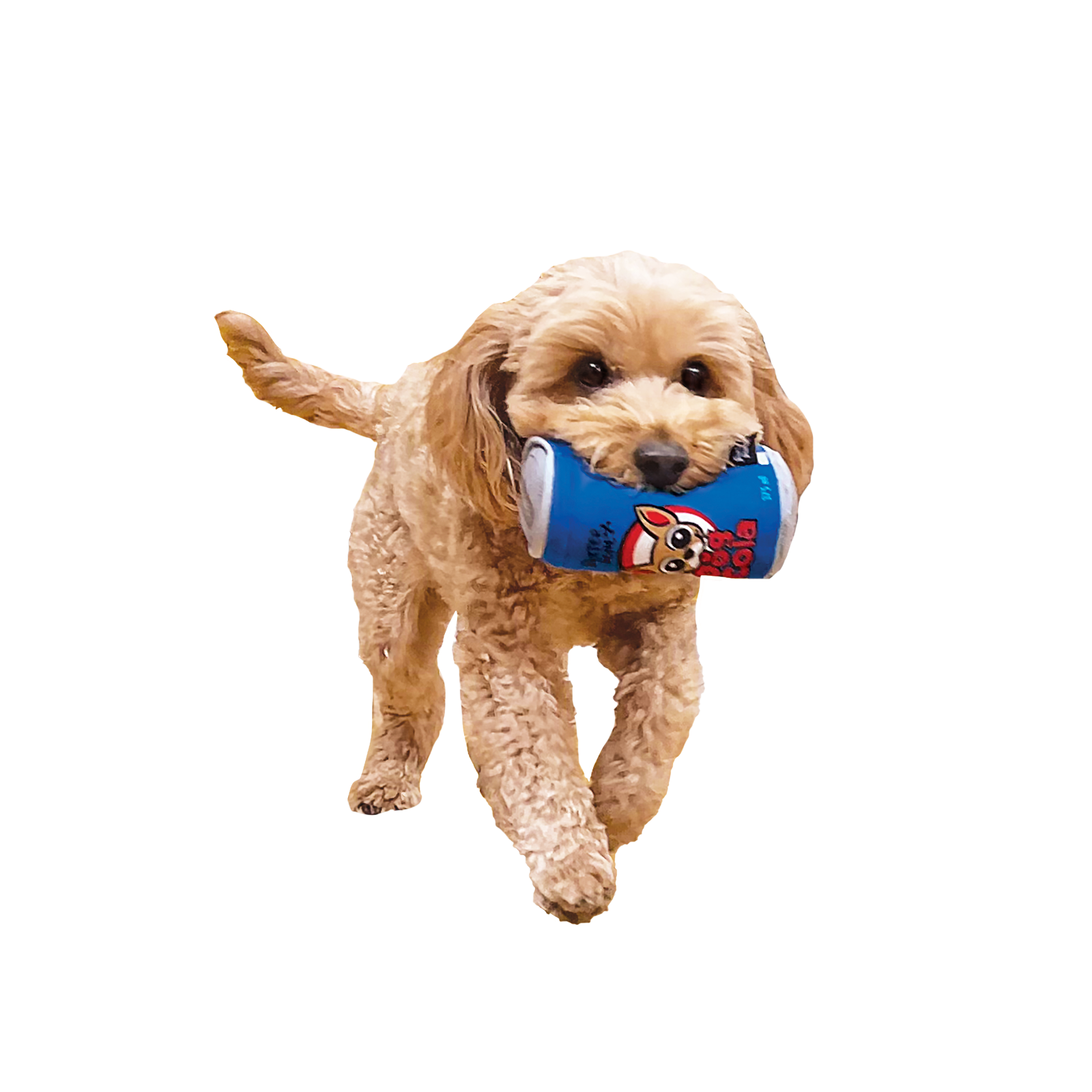 Baxter Bone Cola Soda Can Plush Dog Toy - Squeaker & Crinkle