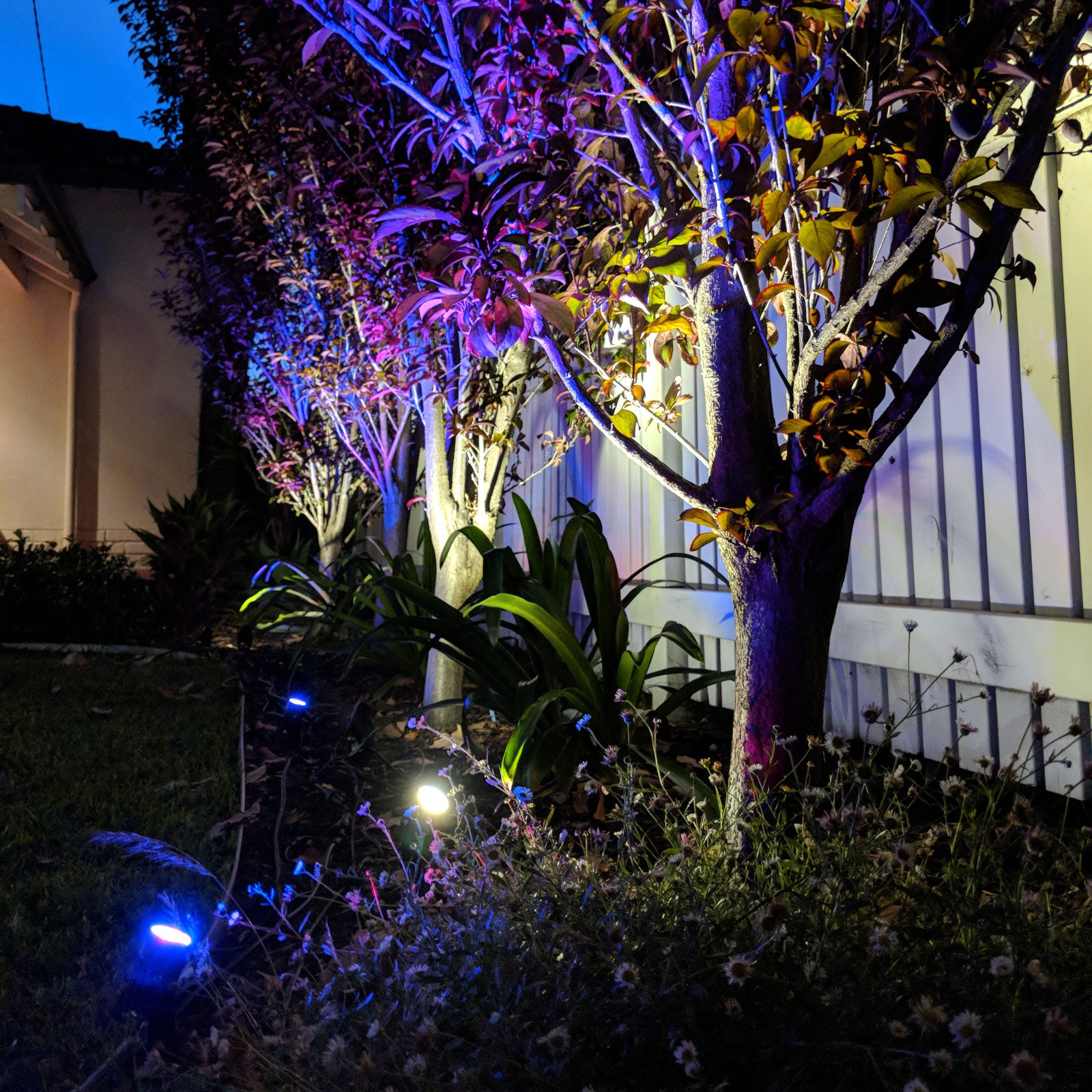 Holman 60W White RGB Colour Bluetooth Garden Light Controller With Inbuilt Transformer CLBRGB60