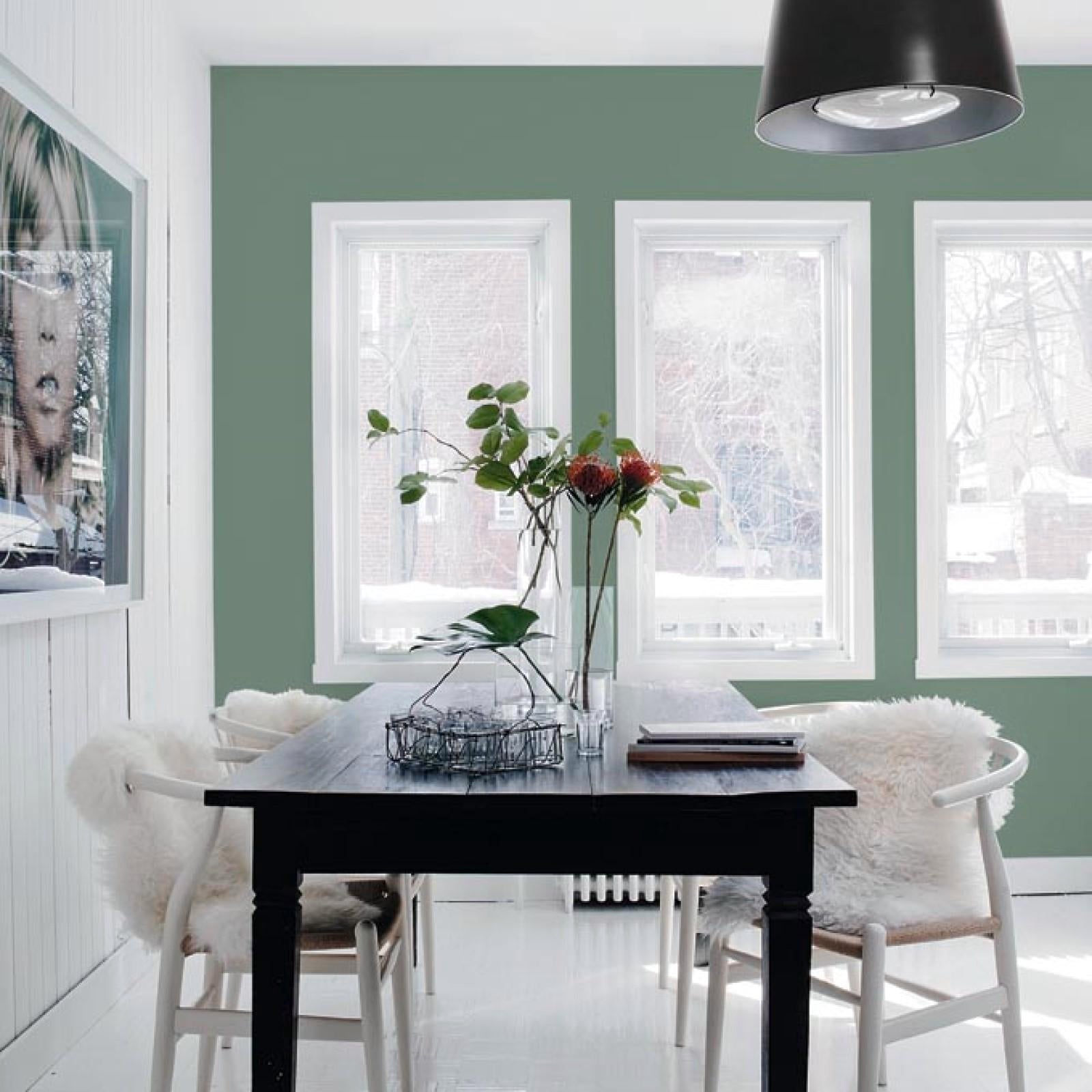 Taubmans Tradex 4L White Oil Based Interior Quick Dry Undercoat & Sealer, Splatter Resistant