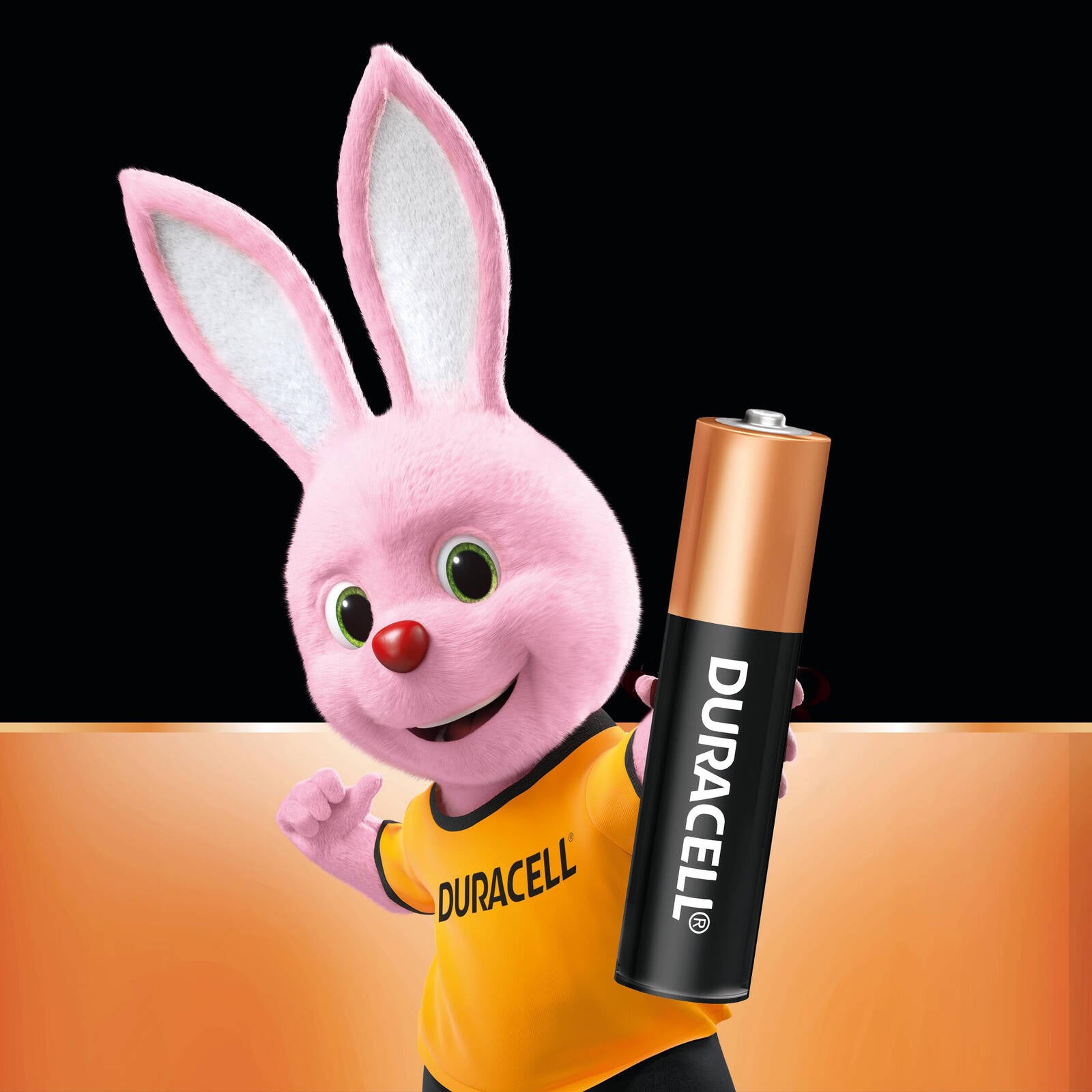 Duracell Coppertop AAA Alkaline Batteries 48 Pack