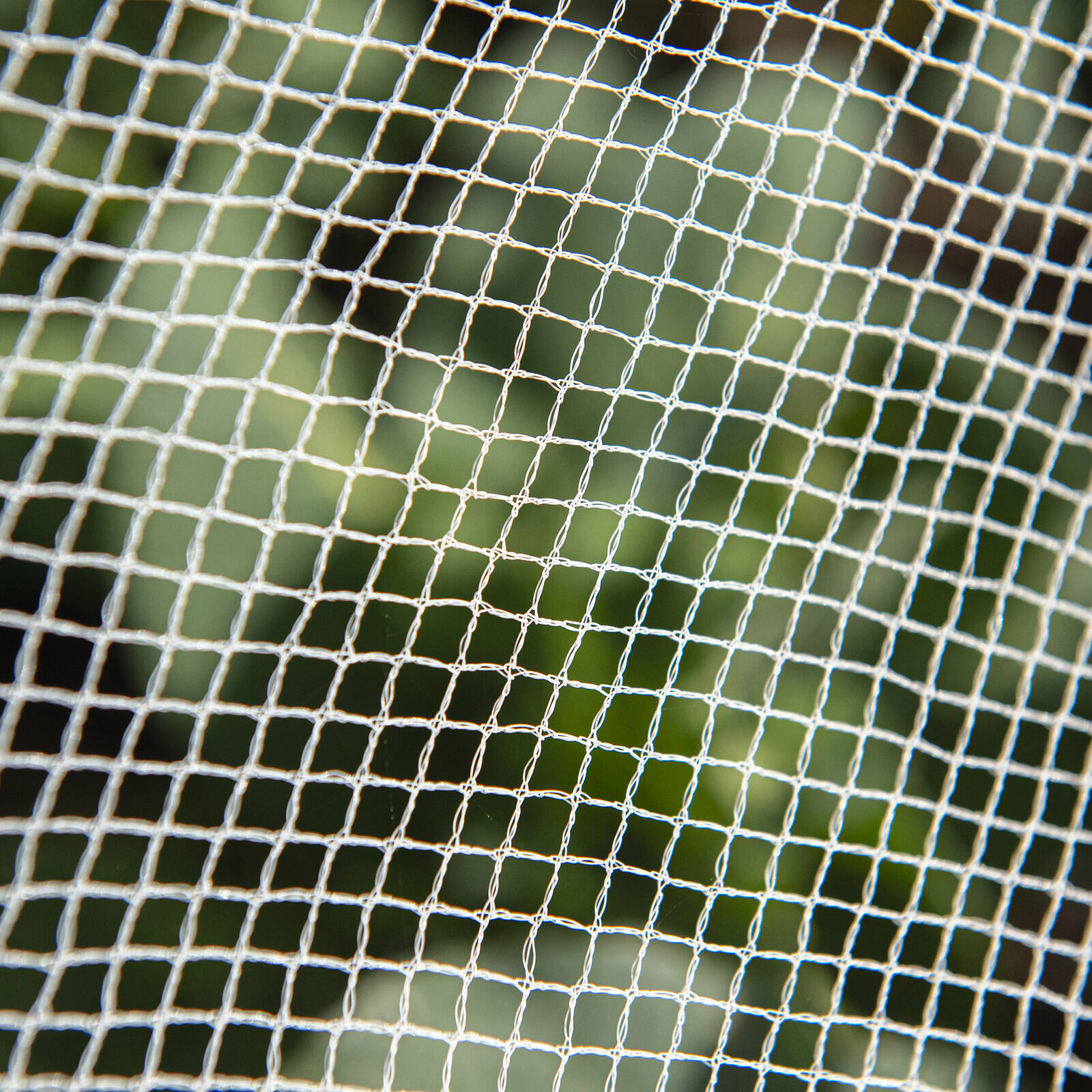 Backyard Farmer 2.5 x 2.5m x 5mm White Anti Bird Net