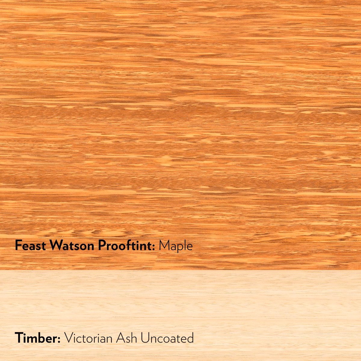 Feast Watson Maple Prooftint Interior Timber Stain 50ml