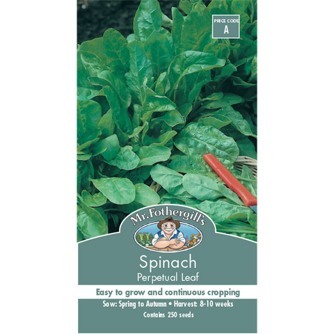 Mr Fothergill's Perpetual Spinach Vegetable Seeds for Sun & Part Shade