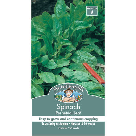 Mr Fothergill Spinach Seeds 75mm x 5mm Nutritious Greens Fast Growth - SuperSaverAU - view 1
