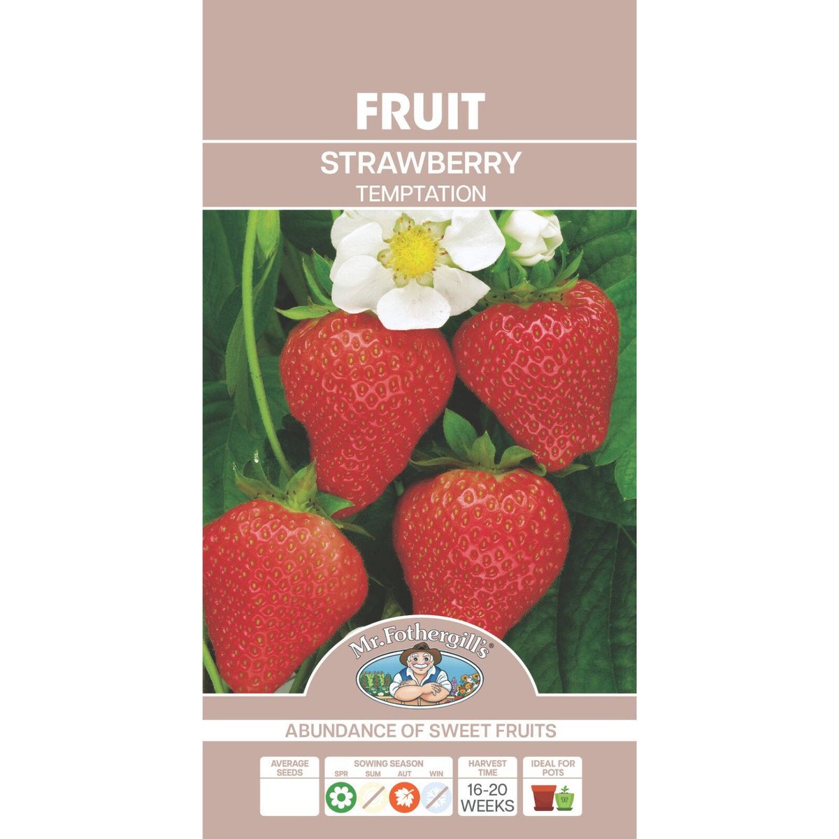 Mr Fothergill's Strawberry Temptation Seeds