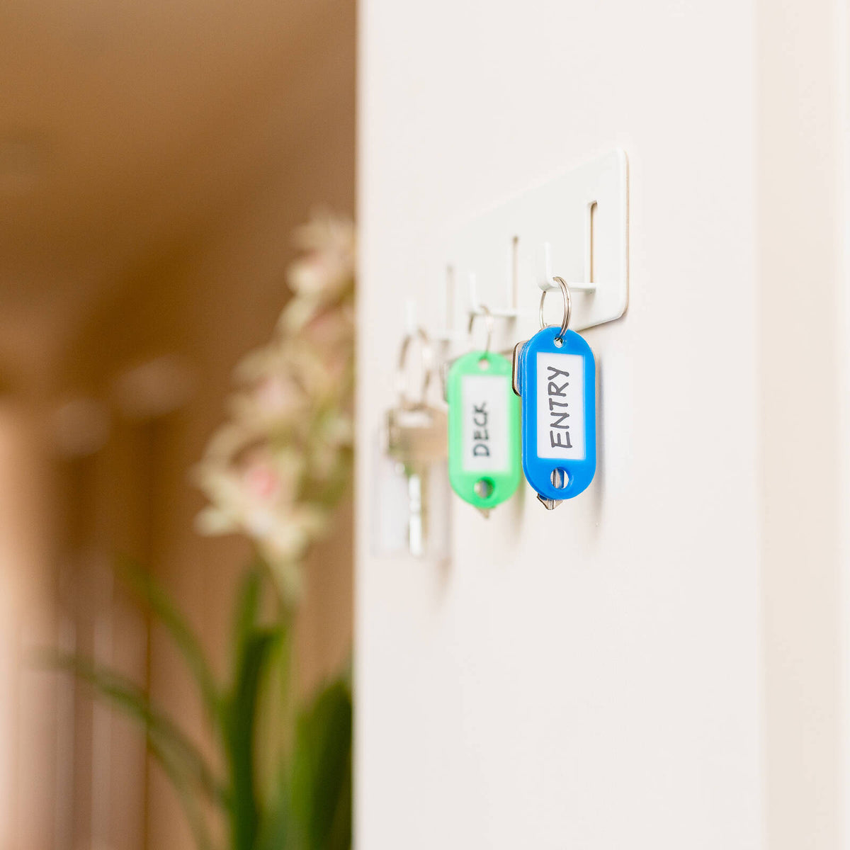 Taskmaster Key Tags with Ring, 60 x 22mm, Assorted Colours, 50 Pack
