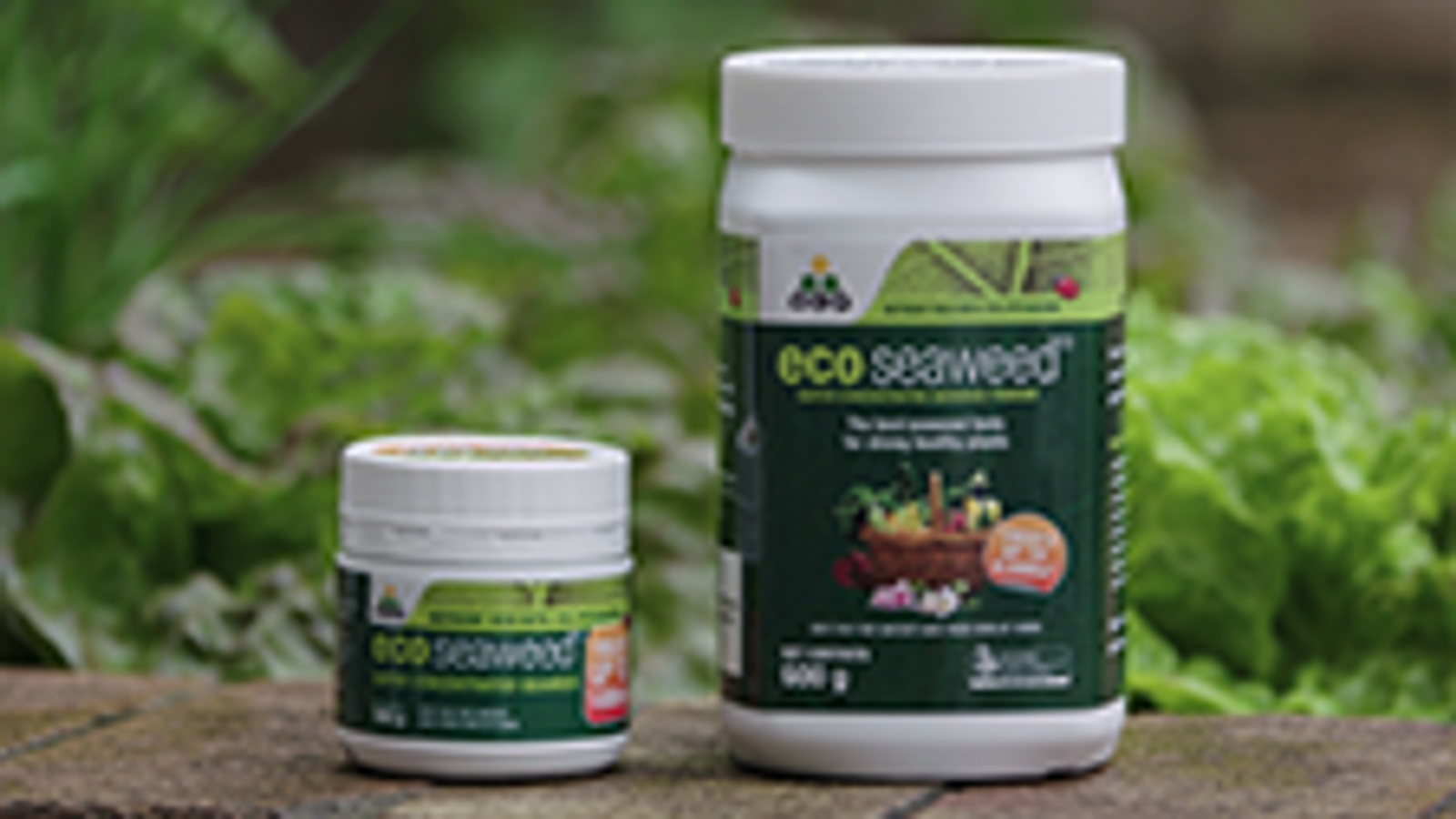 OCP Eco-Seaweed Soluble Fertiliser 600g - Powdered Seaweed Extract, Water Soluble for All Plants