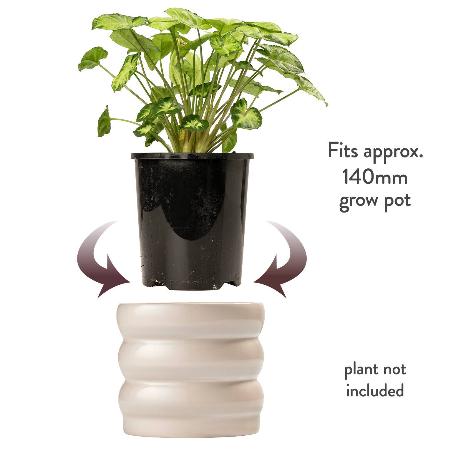 Borralheira Smooth Bone Indoor Ceramic Pot 180 x 155mm