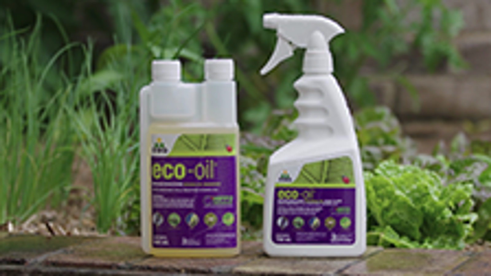 OCP Eco-Oil Concentrate 500ml - Organic Insecticide & Miticide Spray