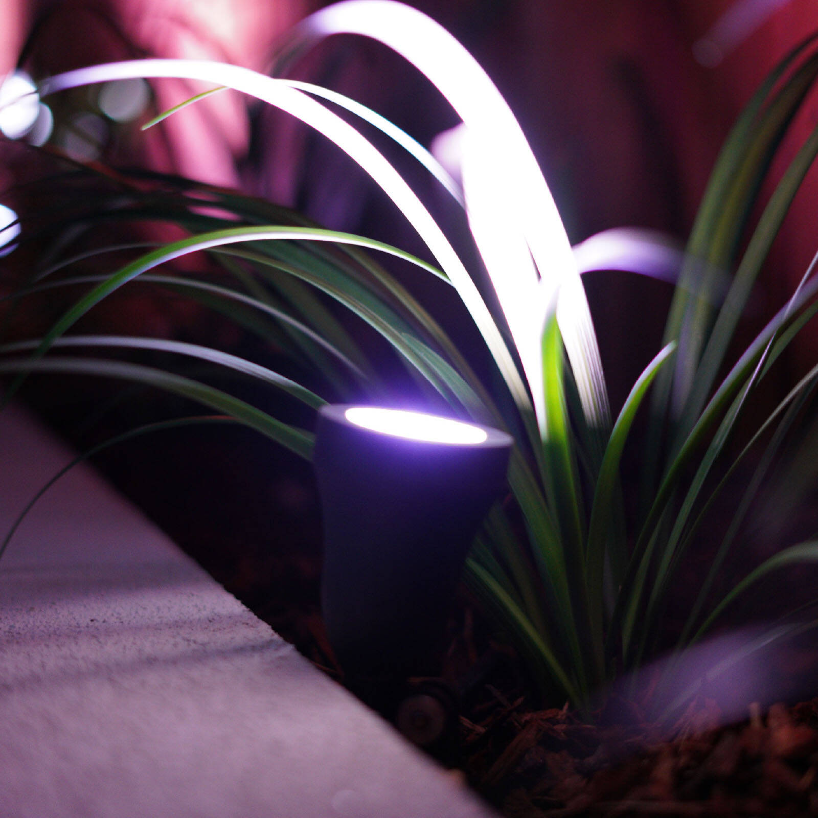 Brilliant Corymbia 12V Smart Wi-Fi RGB Garden Light 20959/06