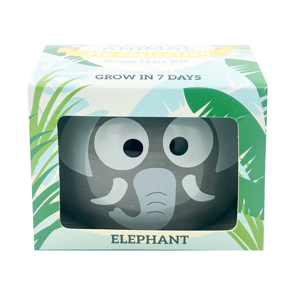 Mr Fothergill's Large Elephant Grass Hair Kit - Grow Your Own Grass Head