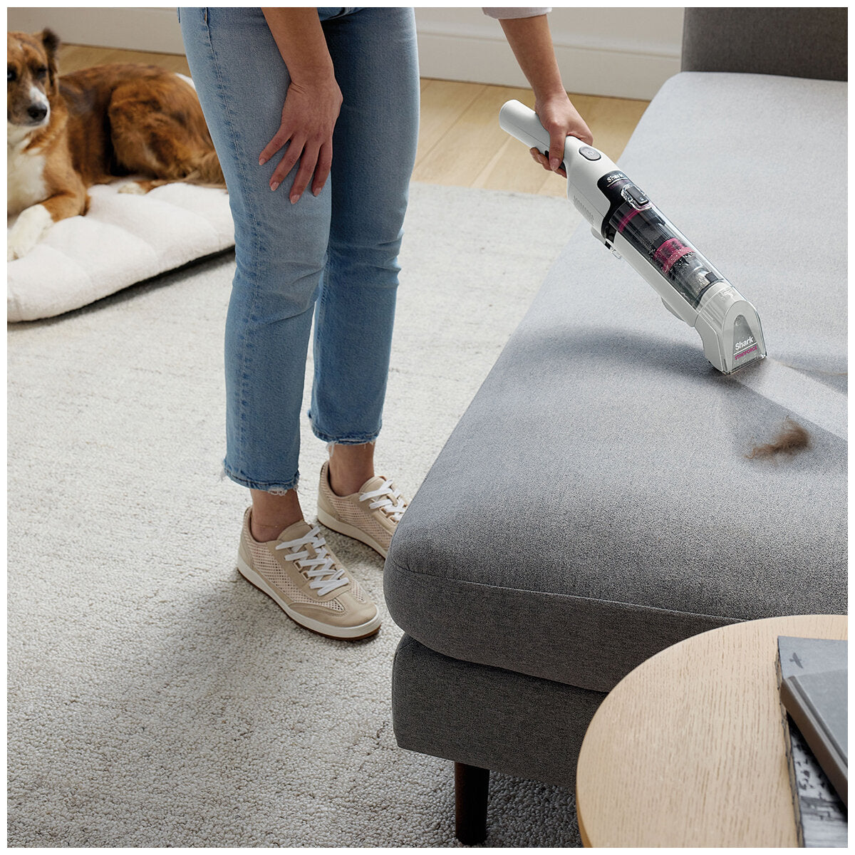 Shark Stainforce Cordless Spot Cleaner HX100ANZ