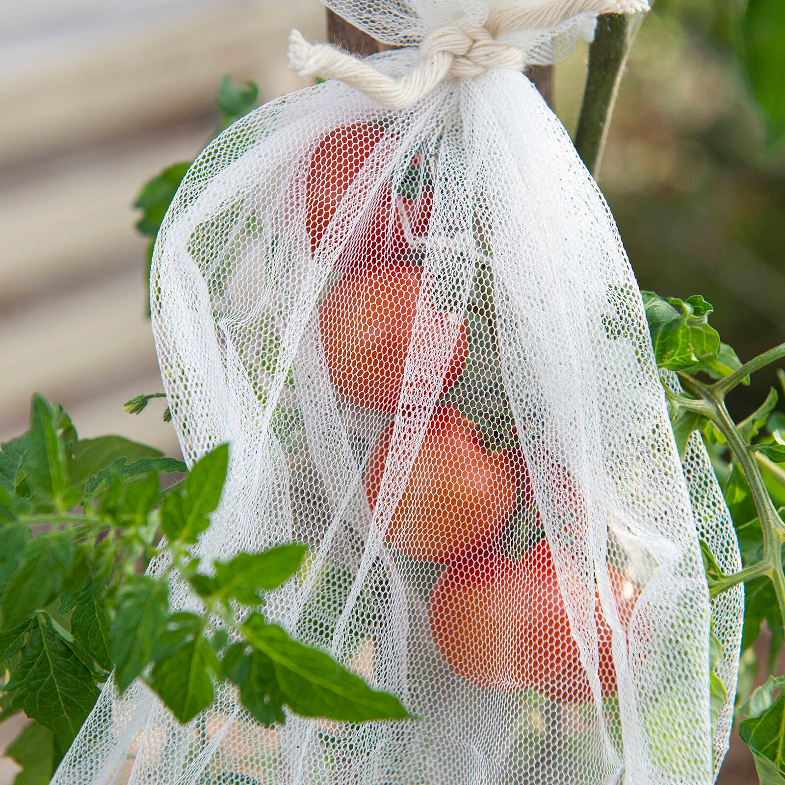 Backyard Farmer 20 x 30cm Netting Bag - 25 Pack