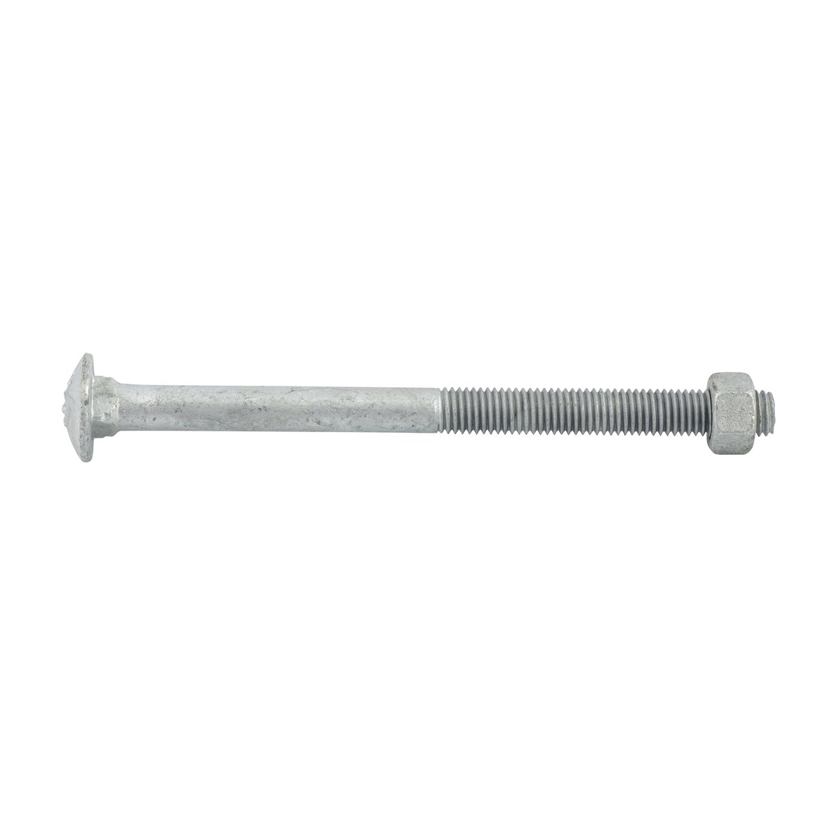 Zenith Hot Dip Galvanised Cup Head Bolts Nuts M12 x 170mm 12 Pack - SuperSaverAU - view 2