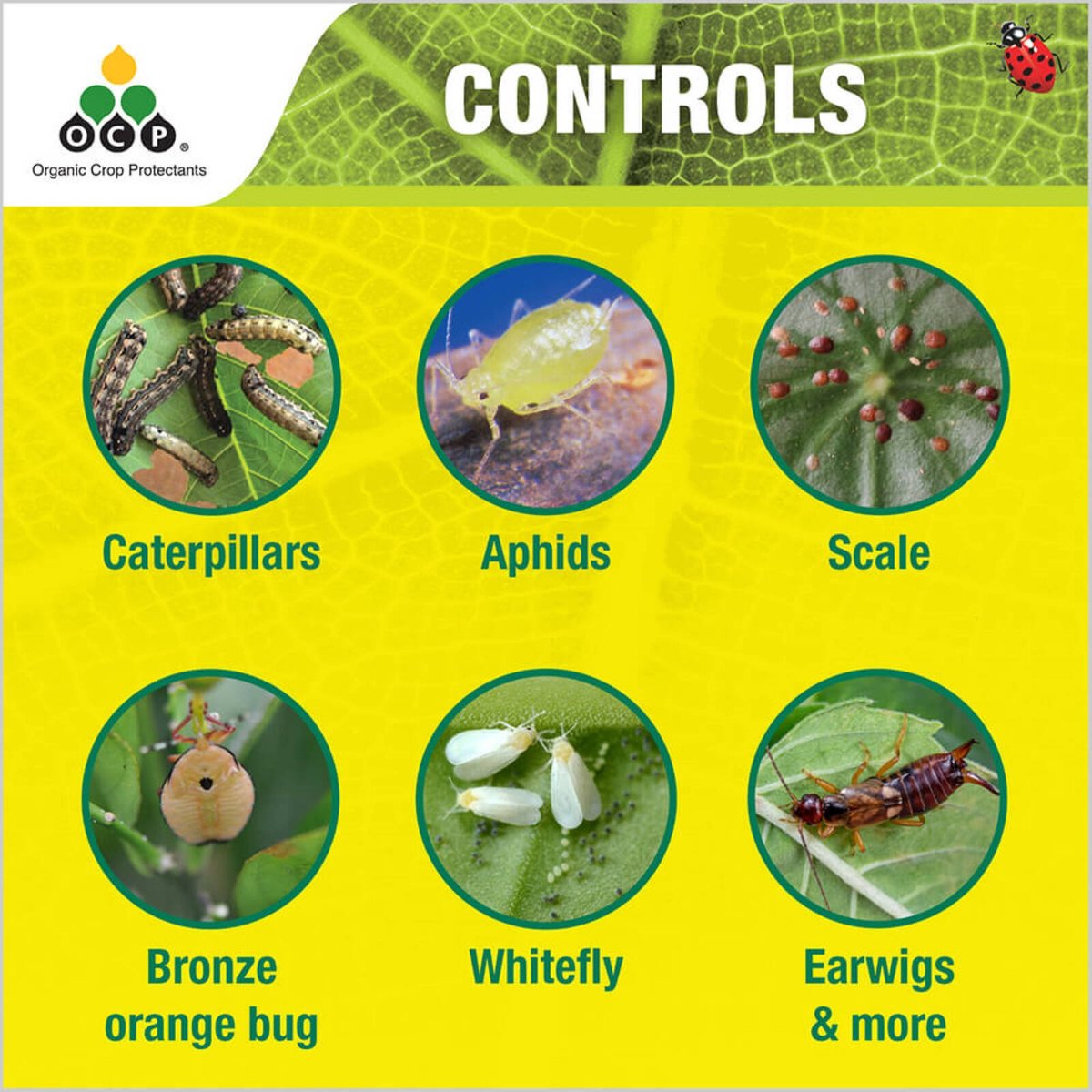 OCP Eco-Pyrethrum PLUS Ready to Use Insecticide 750ml Pet Friendly