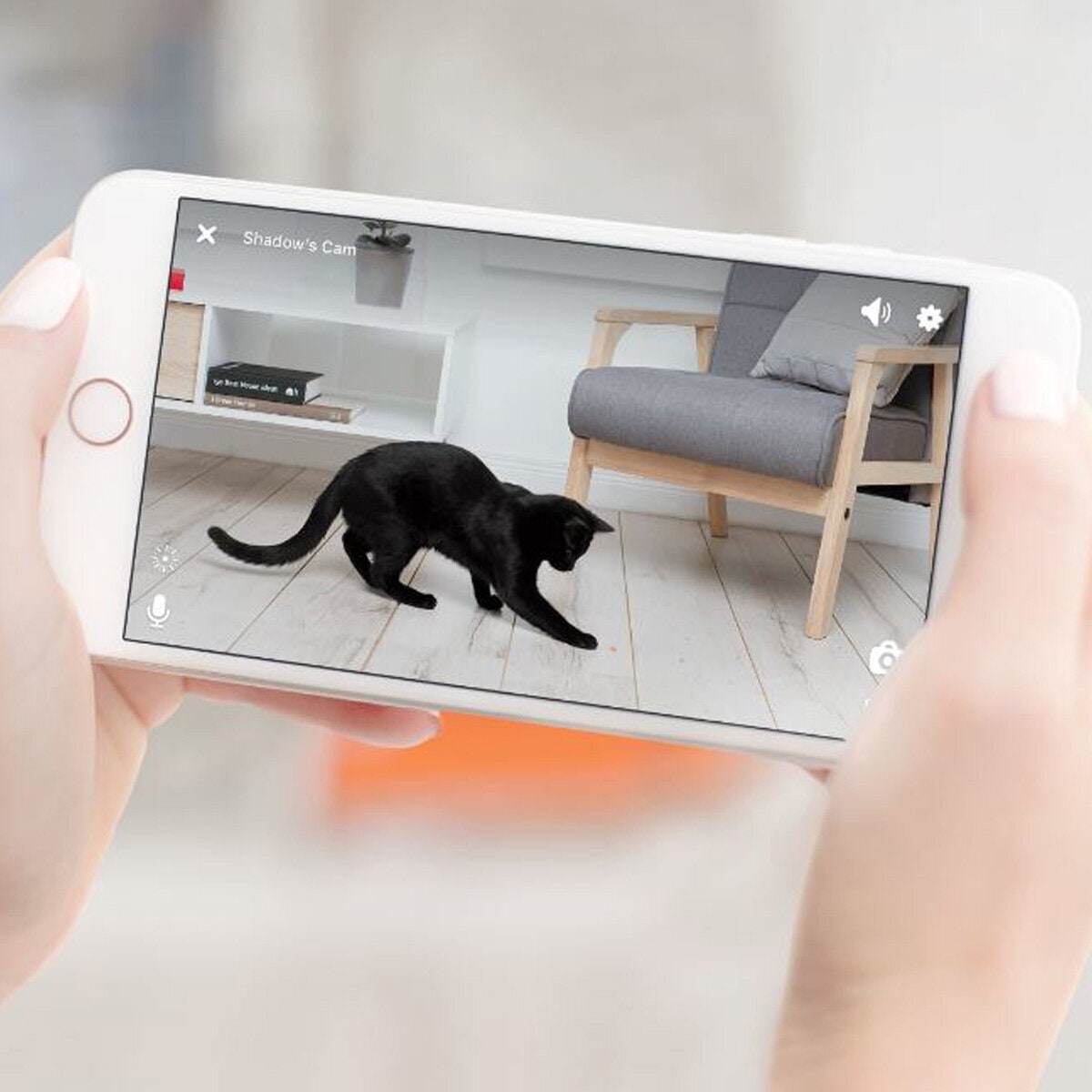Petcube Play interactive Wi-Fi pet camera - 1080p HD, laser toy, two-way audio, matte silver - 7066