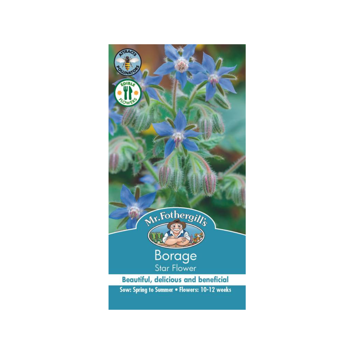 Mr Fothergill's Borage Star Flower Seeds, Edible Blue Blooms, Cucumber-Flavour Leaves, Sun or Part Shade