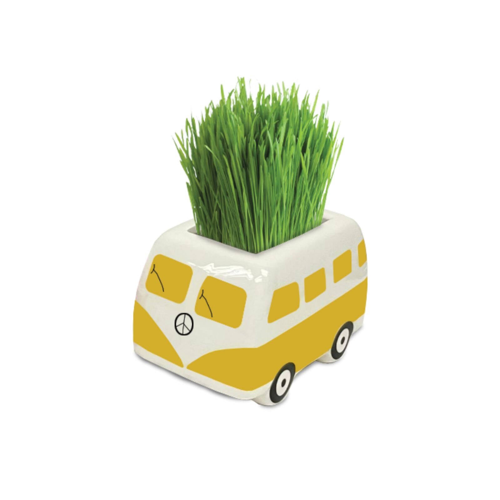 Mr Fothergill's Good Vibes Minivan Grow Kit, Yellow Kids Planter