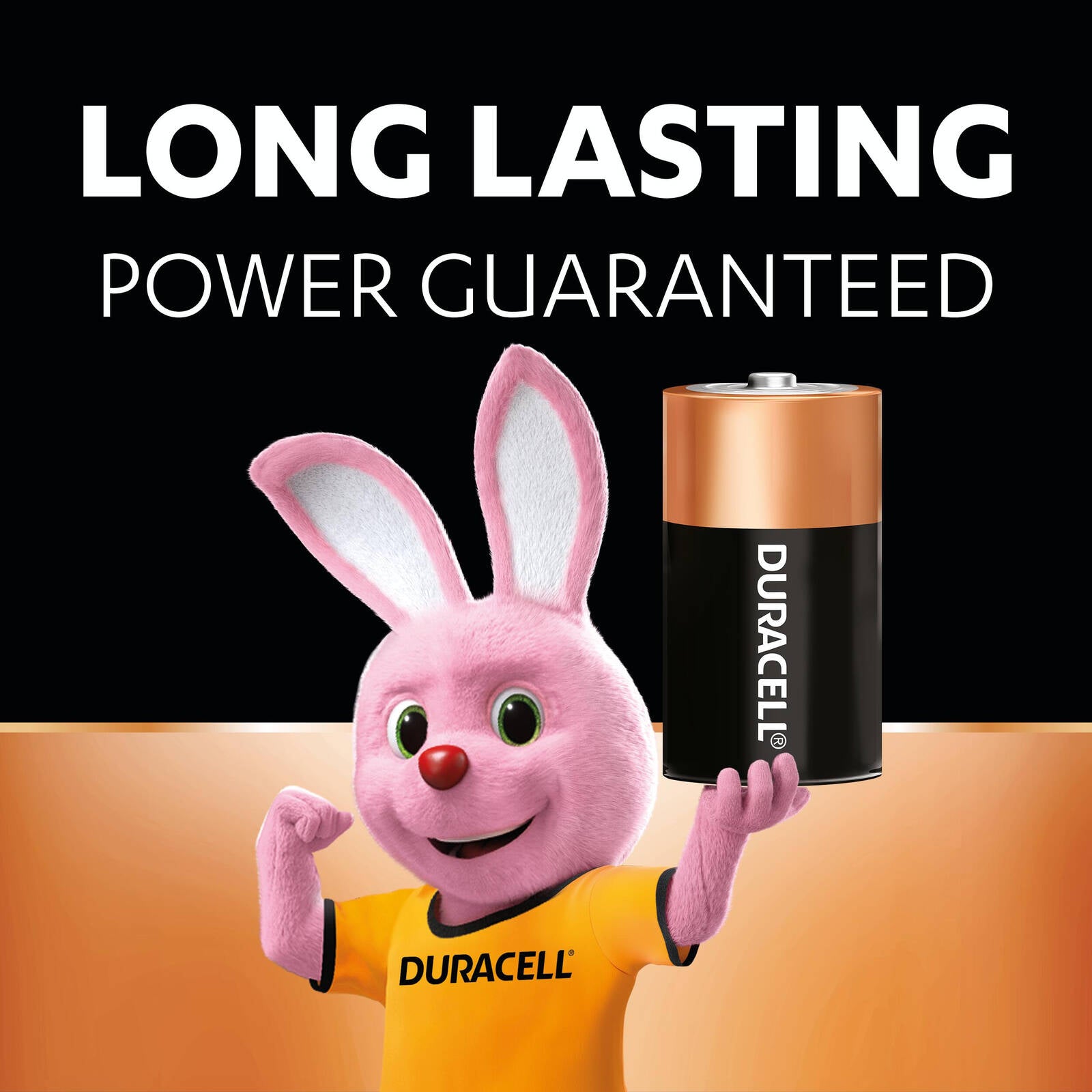 Duracell Coppertop D Alkaline Batteries 1.5V - 4 Pack