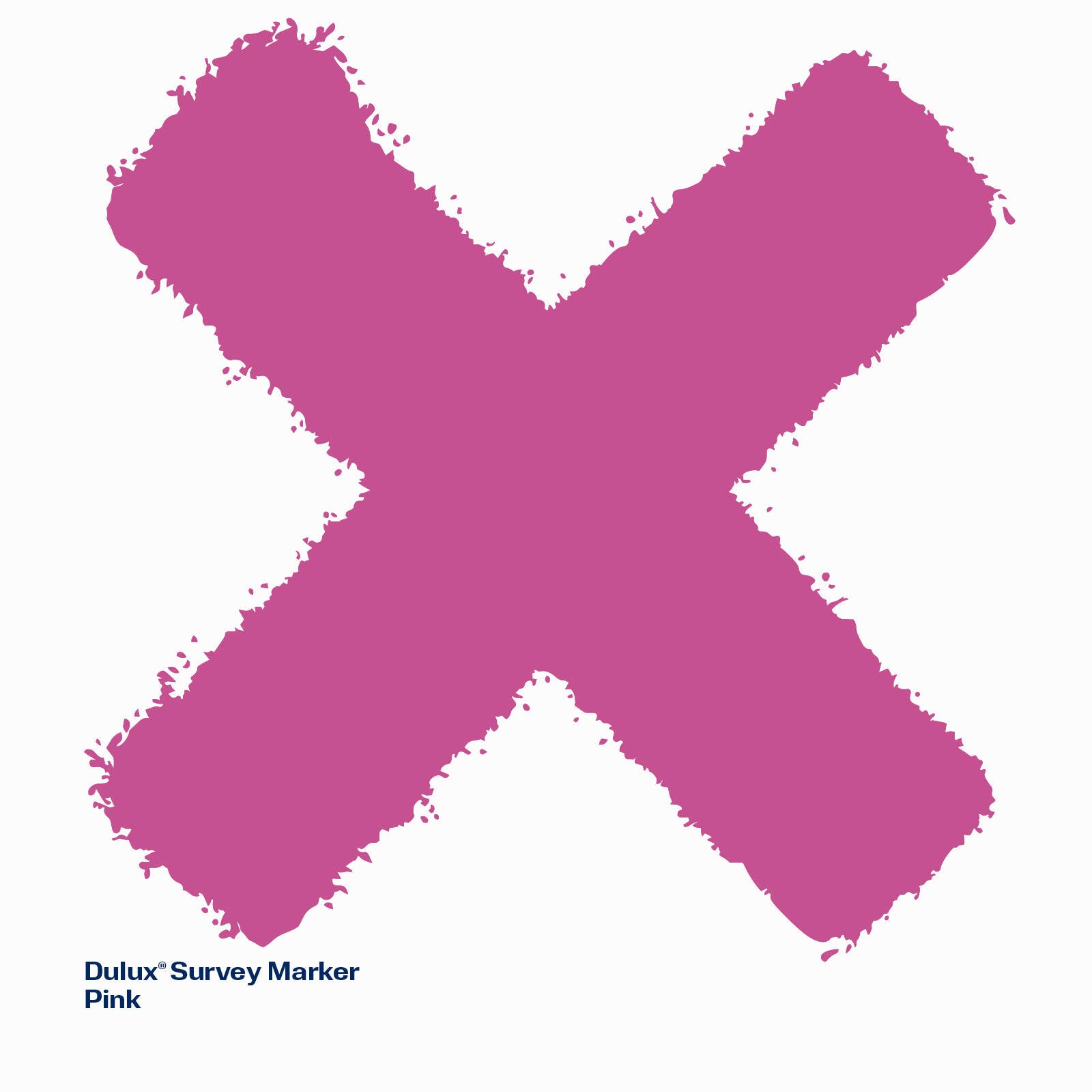 Dulux 350g Fluoro Pink Survey Marker Spray Paint, High-Visibility Line Marking
