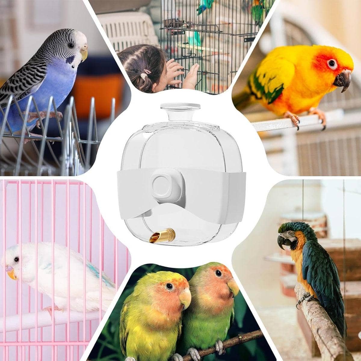 450 ml Parrot Water Bottle with Adjustable Height, Automatic Bird Drinker Feeder - view 5