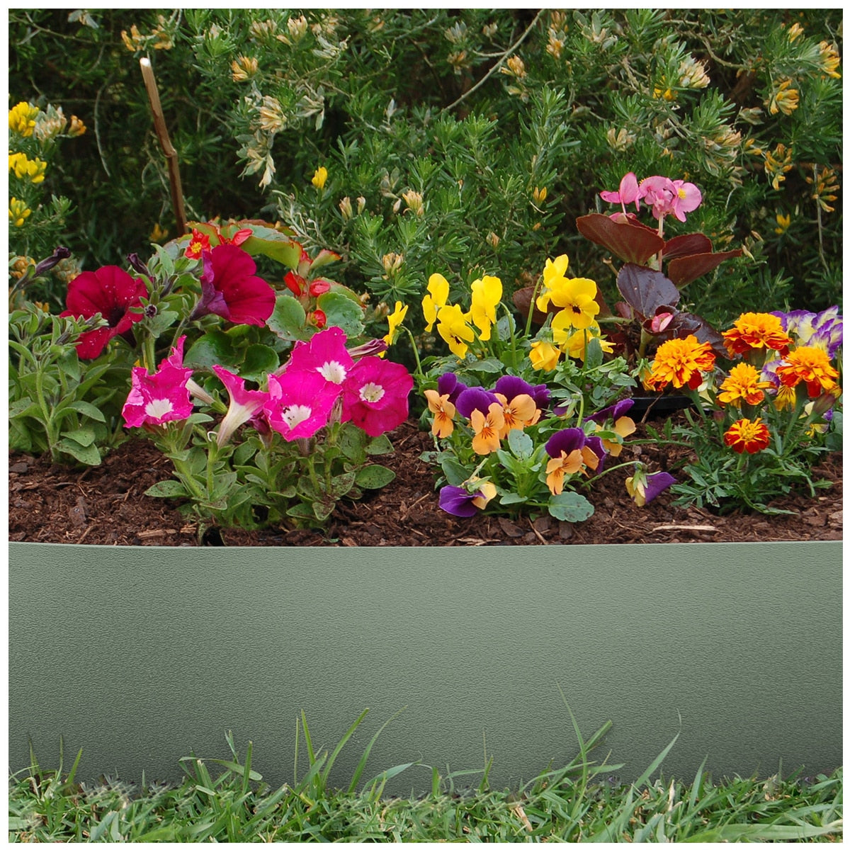 Greenlife Plastic Garden Edging 2 x (1000 x 15cm) With 20 Pegs Eucalyptus - SuperSaverAU - view 4