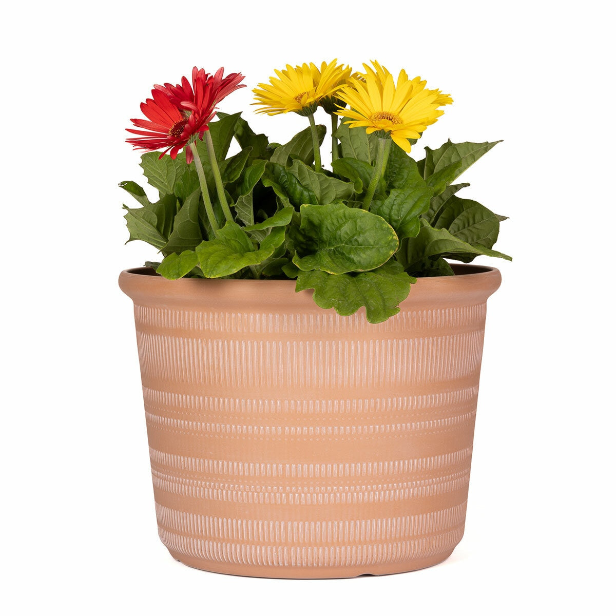 Trendspot Forum Planters 3 Pack